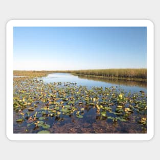 Wondrous Wetland Marsh - Point Pelee No.1 Sticker